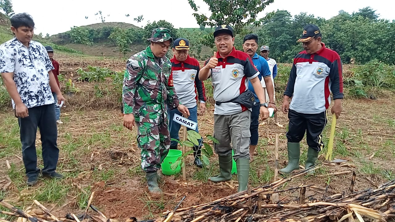 penghijauan kendeng